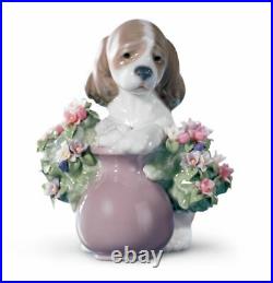 Lladro Take Me Home Dog Figurine #6574 Brand Nib Cute Flowers Save$$ F/sh