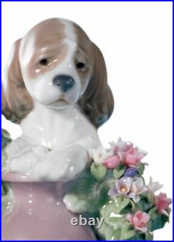 Lladro Take Me Home Dog Figurine #6574 Brand Nib Cute Flowers Save$$ F/sh