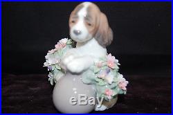 Lladro Take Me Home Dog with Flowers #6574 Porcelain Figurine 1998 Daisa S8234