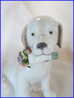 Lladro This Bouquet Is For You Brand Nib #9256 Dog With Flowers Golden Save$ F/s