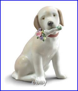 Lladro This Bouquet Is For You Dog Figurine #9256 Brand Nib Flowers Save$$ F/sh