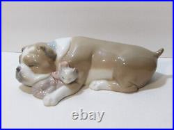 Lladro Unlikely Friends Figurine Dog & Cat Napping #6417 Retired 2005