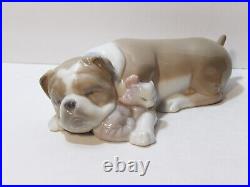 Lladro Unlikely Friends Figurine Dog & Cat Napping #6417 Retired 2005