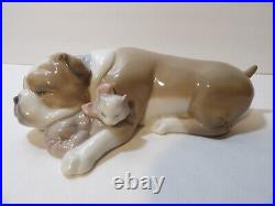 Lladro Unlikely Friends Figurine Dog & Cat Napping #6417 Retired 2005