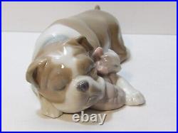 Lladro Unlikely Friends Figurine Dog & Cat Napping #6417 Retired 2005