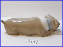 Lladro Unlikely Friends Figurine Dog & Cat Napping #6417 Retired 2005