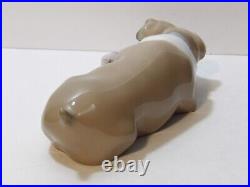 Lladro Unlikely Friends Figurine Dog & Cat Napping #6417 Retired 2005