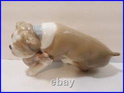 Lladro Unlikely Friends Figurine Dog & Cat Napping #6417 Retired 2005