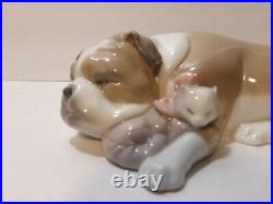 Lladro Unlikely Friends Figurine Dog & Cat Napping #6417 Retired 2005