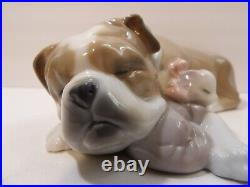 Lladro Unlikely Friends Figurine Dog & Cat Napping #6417 Retired 2005