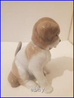 Lladro Utopia Against All Odds Figurine Kitten Puppy Cuddling 4.25