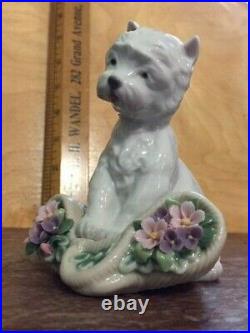 Lladro Utopia Playful Character 8207 Westie Dog Figurine in BoxPERFECT