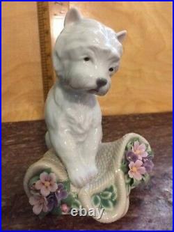 Lladro Utopia Playful Character 8207 Westie Dog Figurine in BoxPERFECT