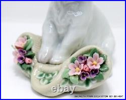 Lladro Utopia Playful Character White Westie Puppy Dog and Flowers no box #8207