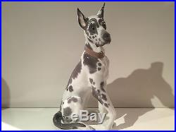 Lladro Very Large Rare Great Dane Dog Puppy Gloss Finish Figurine 6558