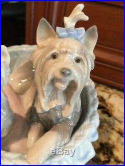 Lladro Yorkshire Terrier Dog Yorkie OUR COZY HOME 6469