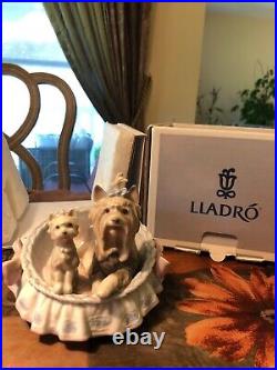 Lladro Yorkshires Our Cozy Home #6469 RETIRED & RARE with ORIGINAL BOX GREAT