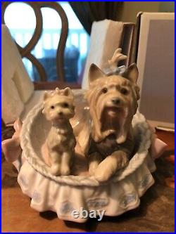 Lladro Yorkshires Our Cozy Home #6469 RETIRED & RARE with ORIGINAL BOX GREAT