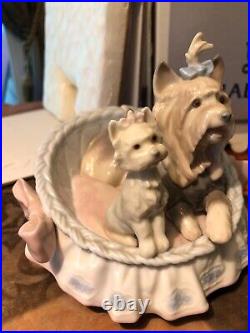 Lladro Yorkshires Our Cozy Home #6469 RETIRED & RARE with ORIGINAL BOX GREAT