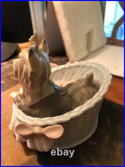 Lladro Yorkshires Our Cozy Home #6469 RETIRED & RARE with ORIGINAL BOX GREAT