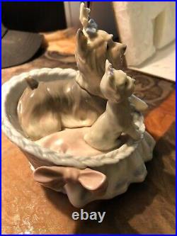 Lladro Yorkshires Our Cozy Home #6469 RETIRED & RARE with ORIGINAL BOX GREAT