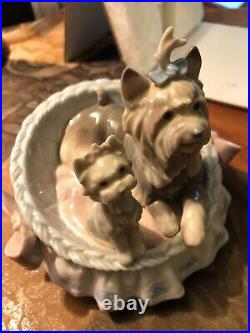 Lladro Yorkshires Our Cozy Home #6469 RETIRED & RARE with ORIGINAL BOX GREAT