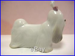 Maltese Puppy Dog Animal Figurine By Lladro Porcelain 8368