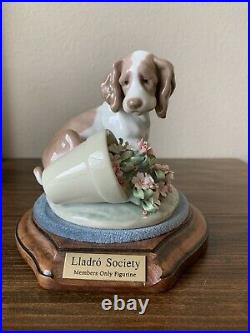 Mint! Lladro 7672 It Wasn't Me Dog Puppy Flowerpot Figurine Stand - Retired