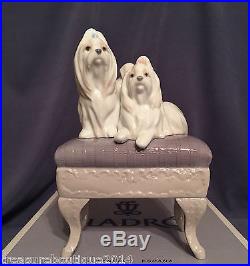 Mint in BoxRare & Stunning Lladro Looking Pretty (6682 Dogs)