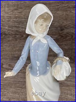 NAO By Lladro Girl Holding Basket And Puppy Dog, Hand Made In Spain