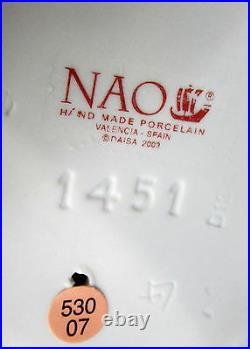 Nao By Lladro #1451 My Puppy Love Brand Nib Girl Holding Dog Cute Bargain F/sh