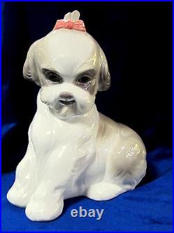 Nao By Lladro #1654 Pampered Shih-tzu Brand New In Box Cute Dog Large Save$$ F/s