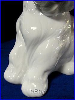 Nao By Lladro #1654 Pampered Shih-tzu Brand New In Box Cute Dog Large Save$$ F/s