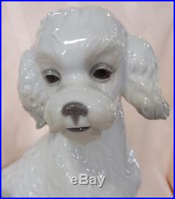 Nao By Lladro Sweet Poodle Brand New In Box #1655 Dog White Large Save$ Free Sh