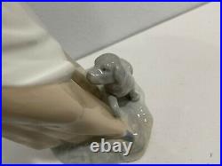 Nao / Lladro Porcelain Figurine Girl / Woman Carrying Basket w Puppy Dog at Feet