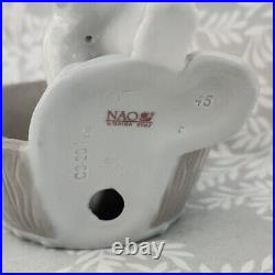 Nao by Lladro Puppy Playtime Dog Figurine 2007