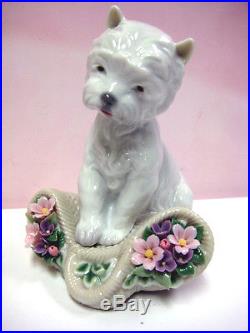 Playful Character Dog By Lladro #8207