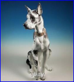 RARE Large Lladro Seated Great Dane Dog Figurine 6558 Alvarez Retired 1998-2000