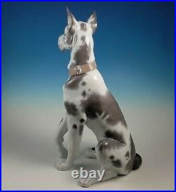 RARE Large Lladro Seated Great Dane Dog Figurine 6558 Alvarez Retired 1998-2000