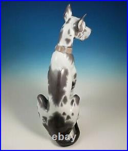 RARE Large Lladro Seated Great Dane Dog Figurine 6558 Alvarez Retired 1998-2000