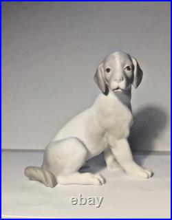 RARE Vintage NAO by Lladro Matte Dog Sitting Figure