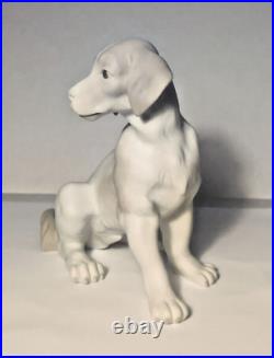 RARE Vintage NAO by Lladro Matte Dog Sitting Figure