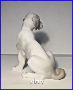 RARE Vintage NAO by Lladro Matte Dog Sitting Figure