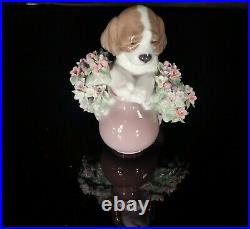 Rare LLADRO TAKE ME HOME DOG FIGURINE #6574 CUTE FLOWERS