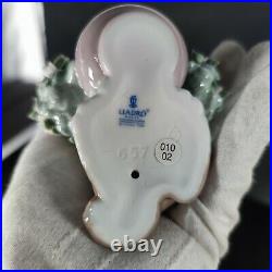 Rare LLADRO TAKE ME HOME DOG FIGURINE #6574 CUTE FLOWERS