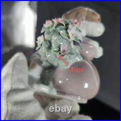 Rare LLADRO TAKE ME HOME DOG FIGURINE #6574 CUTE FLOWERS