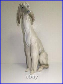 Rare Lladro Afghan Brown Dog Retired Almost 12 Hight Large, Mint