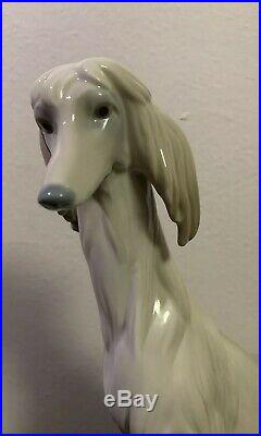 Rare Lladro Afghan Brown Dog Retired Almost 12 Hight Large, Mint