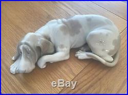 Rare, Lladro Large Dog. Pointer Dog Authentic. Perfect Con. Can Deliver