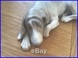 Rare, Lladro Large Dog. Pointer Dog Authentic. Perfect Con. Can Deliver